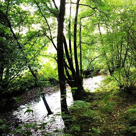 Aldridge Mill 호텔 Oakford 외부 사진