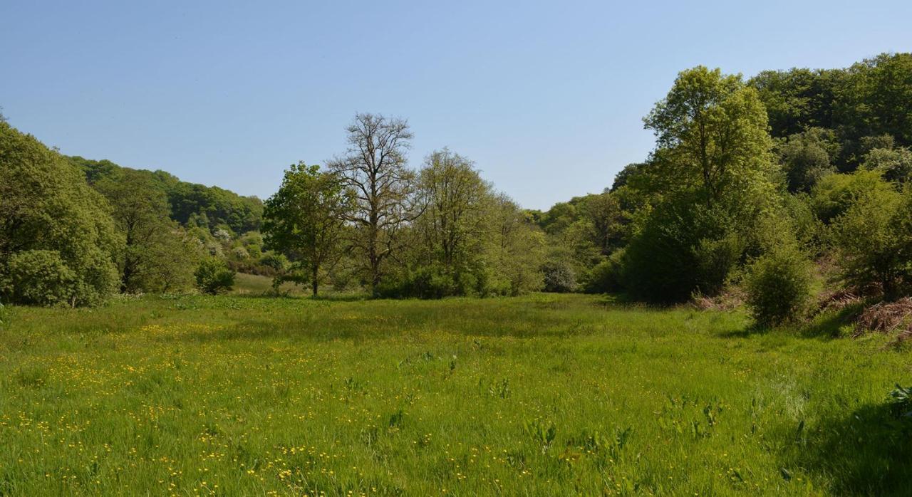 Aldridge Mill 호텔 Oakford 외부 사진