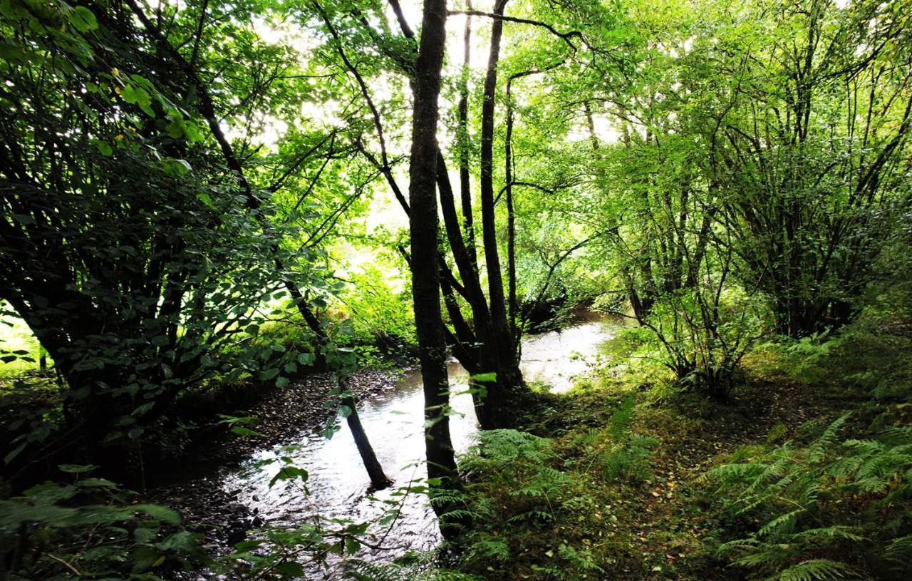 Aldridge Mill 호텔 Oakford 외부 사진